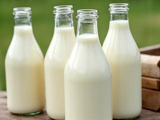 Happy Cow Creamery milk bottles
